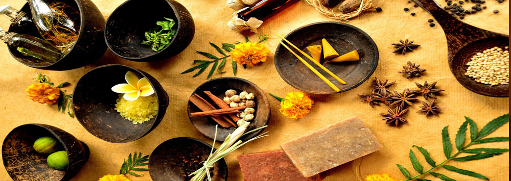 ayurvedic herbs list